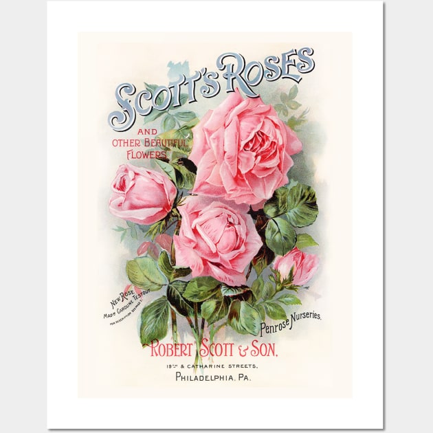 Scott's Roses, Seed Catalogue Wall Art by WAITE-SMITH VINTAGE ART